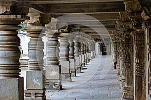 Somnathpur Stone pillar carving photo