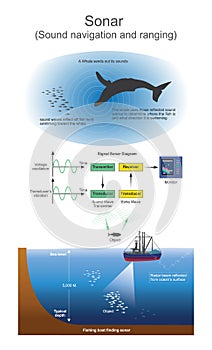 Sonar. Sound navigation and ranging. photo