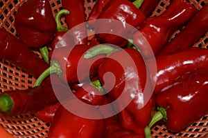 sone big red hot chilis