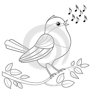 Songbird Coloring Picture