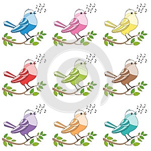 Songbirds Colorful Singing Birds