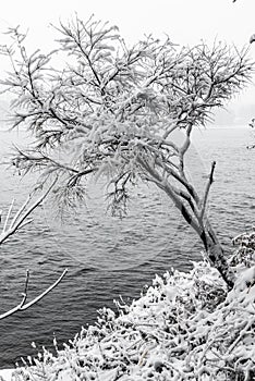 Songhua Lake, Jilin City, China: Snowflakes fly