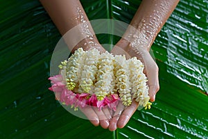 Songkran festival beauty hand holds jasmine garland, wet banana leaf