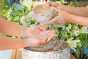 Songkran festival sign of Thailand : Hand of young people pour water, flowers on older. Thais celebrate Songkran in new year water