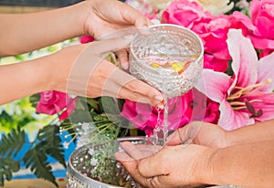 Songkran festival sign of Thailand : Hand of young people pour water, flowers on older. Thais celebrate Songkran in new year water