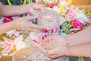 Songkran festival sign of Thailand : Hand of young people pour water, flowers on older. Thais celebrate Songkran in new year water