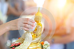 Songkran festival, Thai New Year. female hand holding silver bowl pouring water with jasmine and roses onto buddha statue