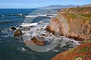 Sonoma County Coast Bodega Bay CA