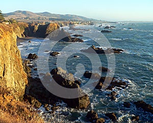 Sonoma County Shore line photo