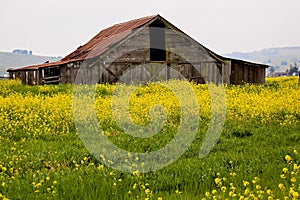 Sonoma Valley Barn