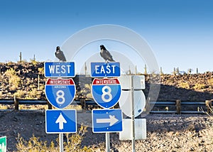 SONORA, ARIZONA: The traffic signs in Arizona-Sonora Desert