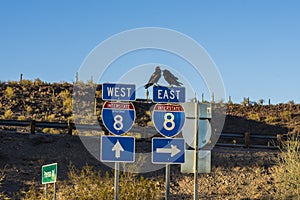 SONORA, ARIZONA: The traffic signs in Arizona-Sonora Desert photo