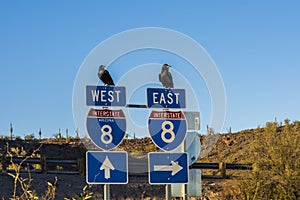 SONORA, ARIZONA: The traffic signs in Arizona-Sonora Desert photo