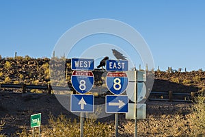 SONORA, ARIZONA: The traffic signs in Arizona-Sonora Desert photo