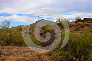 Sonora Desert Arizona Picacho Peak State Park photo