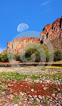 Sonora Desert Gibbous Moon photo
