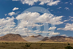 The Sonora desert in Mexico