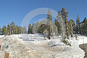 Sonora Pass Completely Snowy With Some Impressive Views Of Yosemite National Park. Nature Travel Holidays.