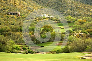 Sonoran Desert Golf photo