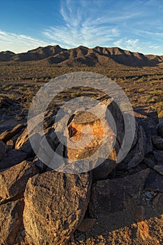 Sonoran Desert Hiking Trails