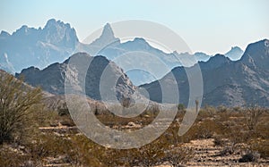 Sonoran Desert, Kofa National Wildlife Refuge