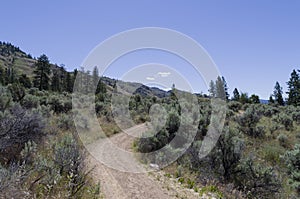 Sonoran desert landscape 20