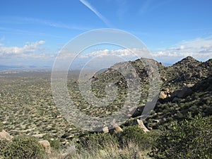 Sonoran desert landscape in Arizona