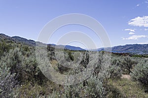 Sonoran Desert Landscape with Osoyoos Lake in the distant background 3