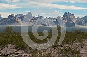 Sonoran Desert landscape, western Arizona