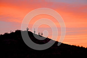 Sonoran Desert Sunrise