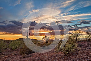 Sonoran Desert Sunset