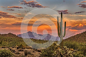 Sonoran Sunset near Phoenix, Arizona