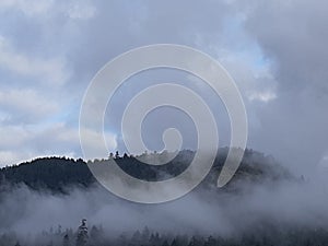 Sooke foggy hill 2