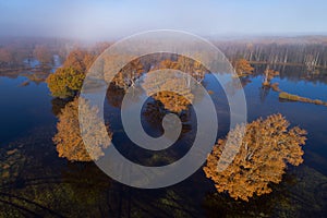 Soomaa National Park during a autumnal flood also known as the Fifth season in a foggy morning in Estonian nature.