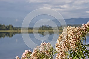 Summer time at the lake Kirchsee