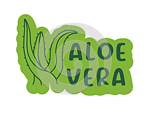 Soothing Aloe Vera Plant Vector