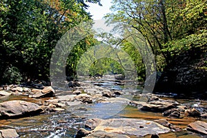 Sope Creek - Atlanta, Ga.
