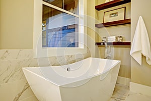 Sophisticated bathroom nook with freestanding tub