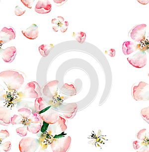 Sophisticated beautiful cute lovely tender herbal floral spring flowers of apple with green leaves and bees pattern watercolor