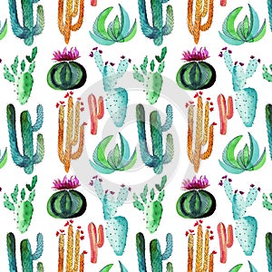 Sophisticated beautiful cute mexican hawaii tropical floral herbal summer colorful pattern of a cactus with flowers paint like chi