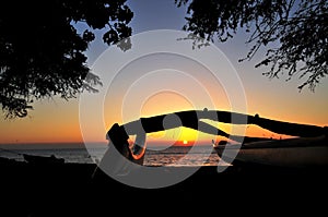 Sophisticated elegant orange sunset in Maui Hawaii with palm tree