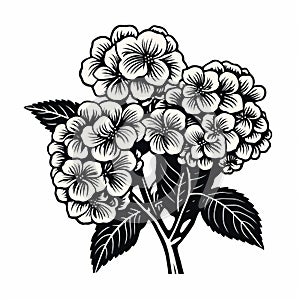 Sophisticated Woodblock Hydrangea Vector With Detailed Nature Depictions