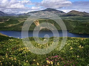 Sopochnoye lake view with flowers meadow on sunny day. Iturup, Kuril Islands, Russia.