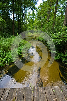 Sopot river in Roztocze region of Poland