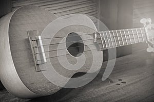 Soprano Ukelele