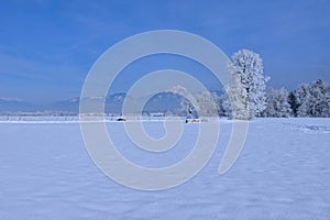 SorÅ¡ko polje field covered in snow and Storzic mountain