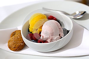 Sorbet in a White Bowl with Cookies on White Plate