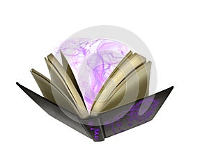 The Sorcerers Book