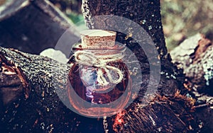 Sorcery potion in the forest. Love Potion.