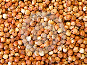 Sorghum
